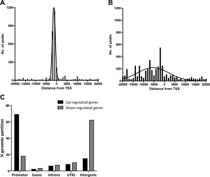 Fig 10