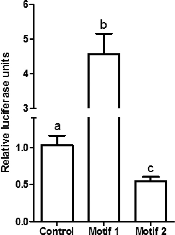 Fig 5