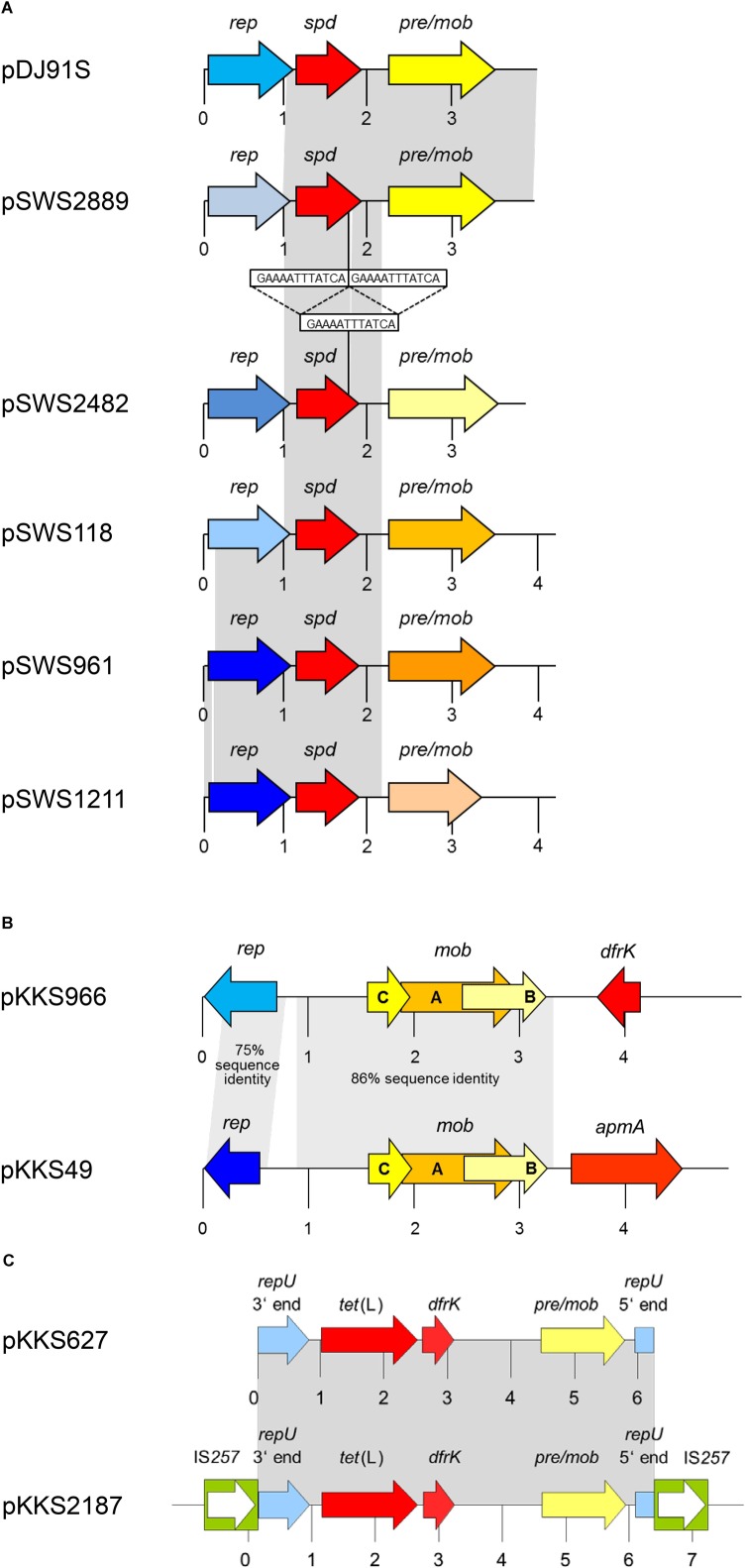 FIGURE 2