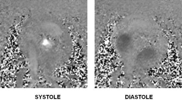 FIG. 7