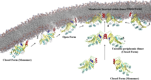 FIGURE 7.