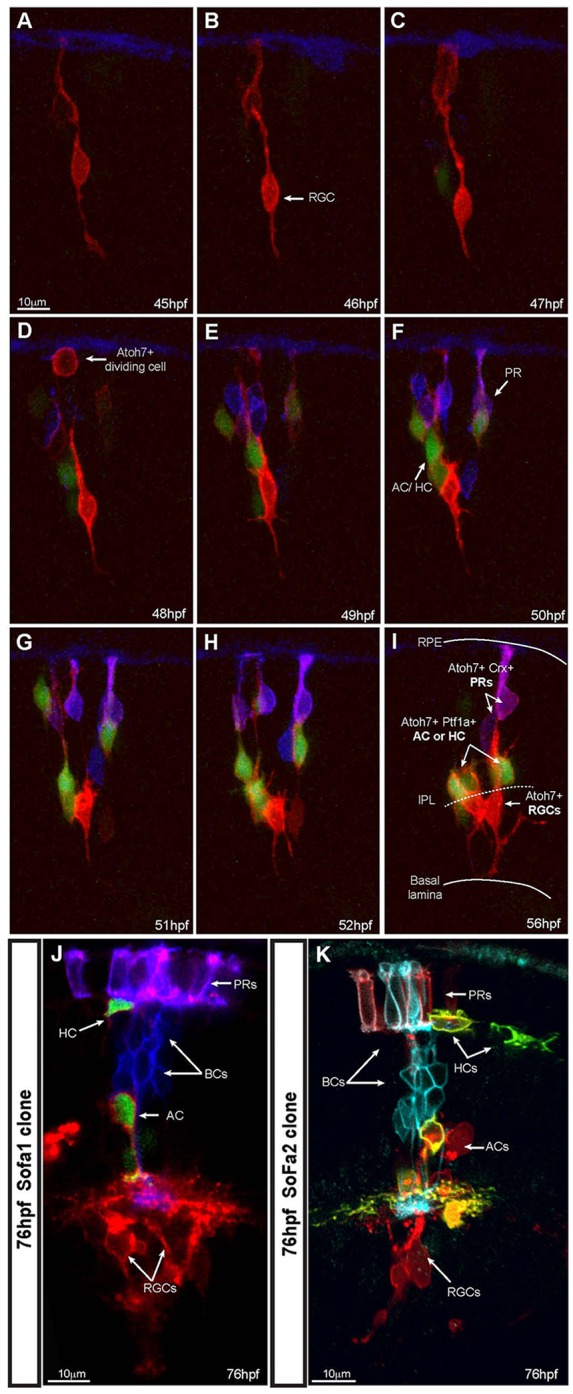 Fig. 4.