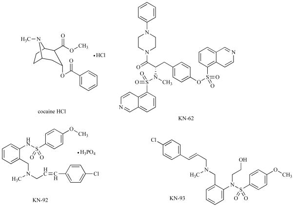 Fig. (1)