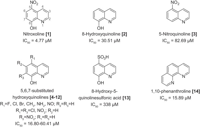 FIG 2