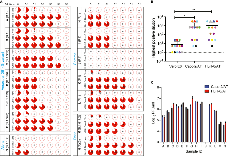 Figure 4