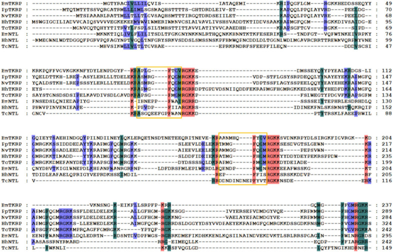 Figure 12