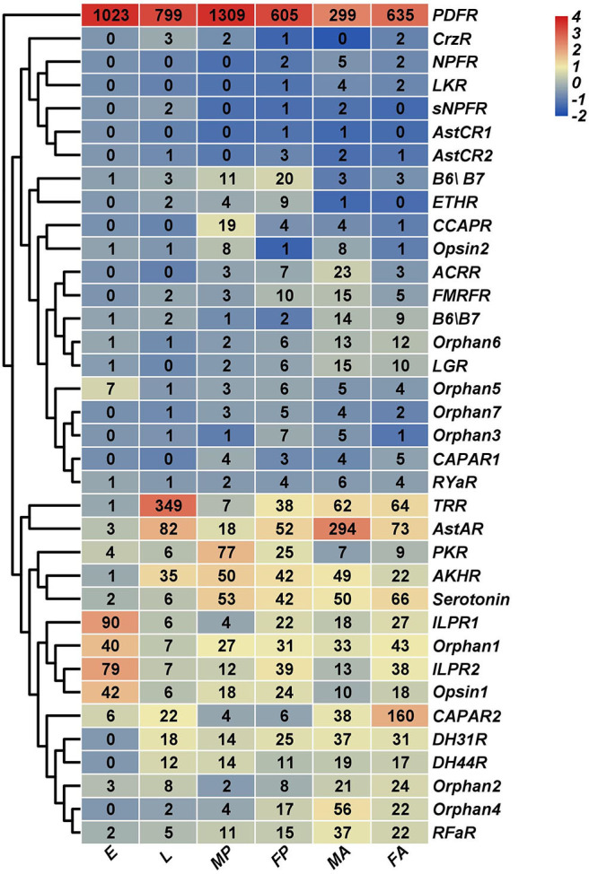 Figure 10