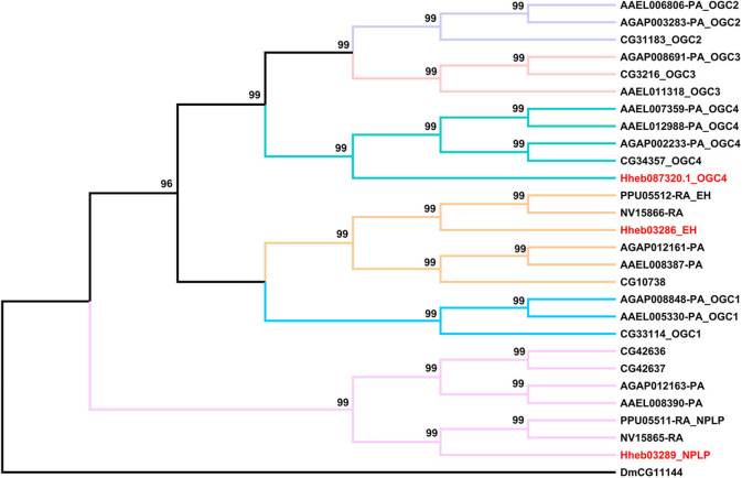 Figure 7