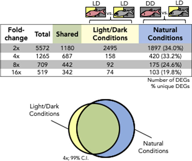 graphic file with name nihms-1597619-f0005.jpg