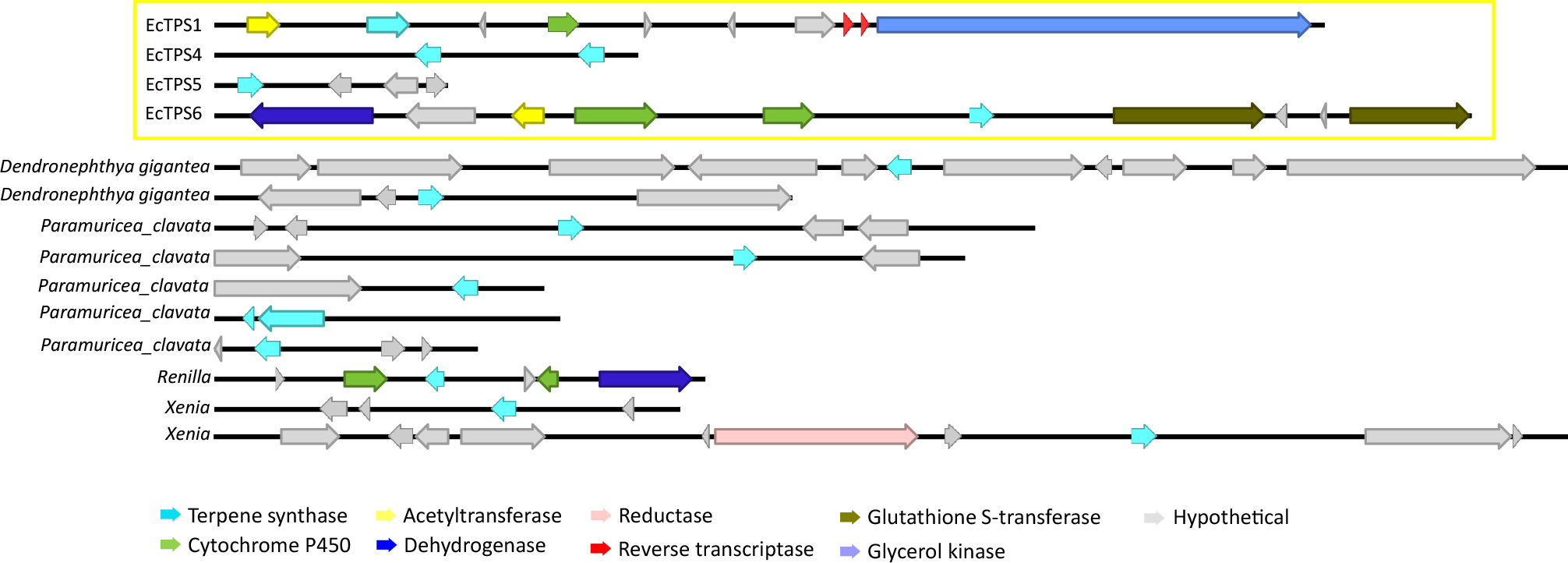 Extended Data Fig. 8