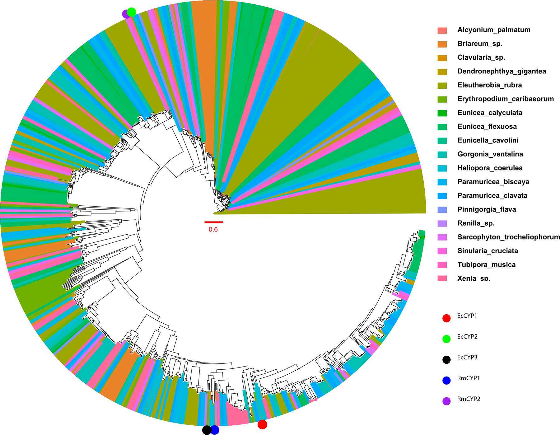 Extended Data Fig. 9