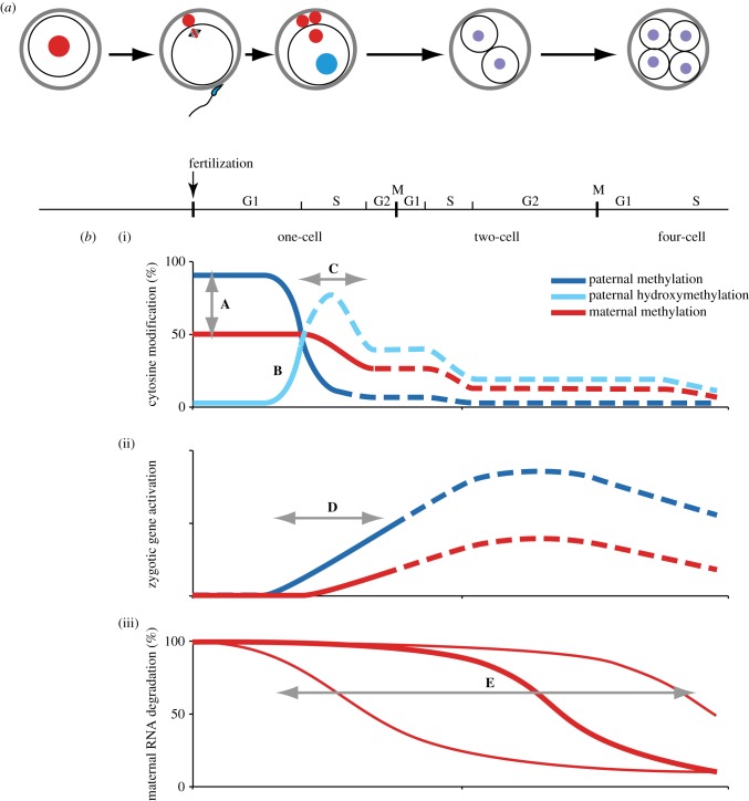 Figure 1.