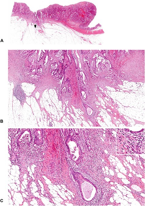 
Figure 12.
