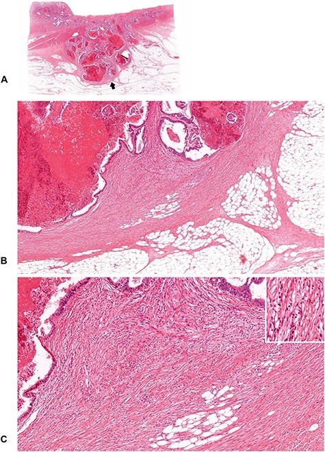 
Figure 11.
