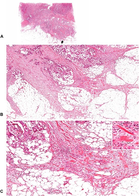 
Figure 10.
