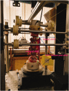 Figure 3.