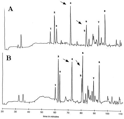 FIG. 6