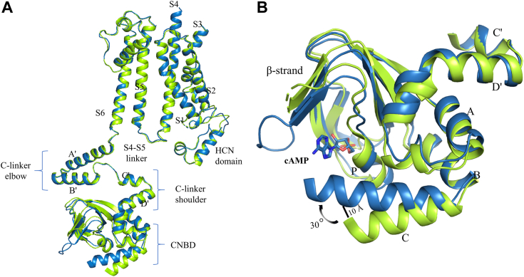 Figure 3