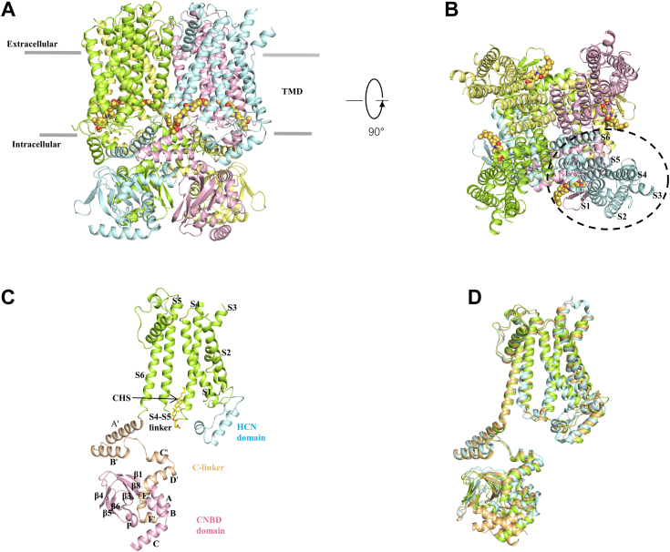 Figure 1