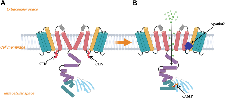 Figure 5