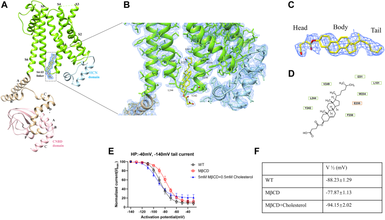 Figure 2