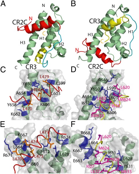 Fig. 2.