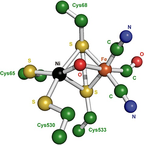 Figure 5