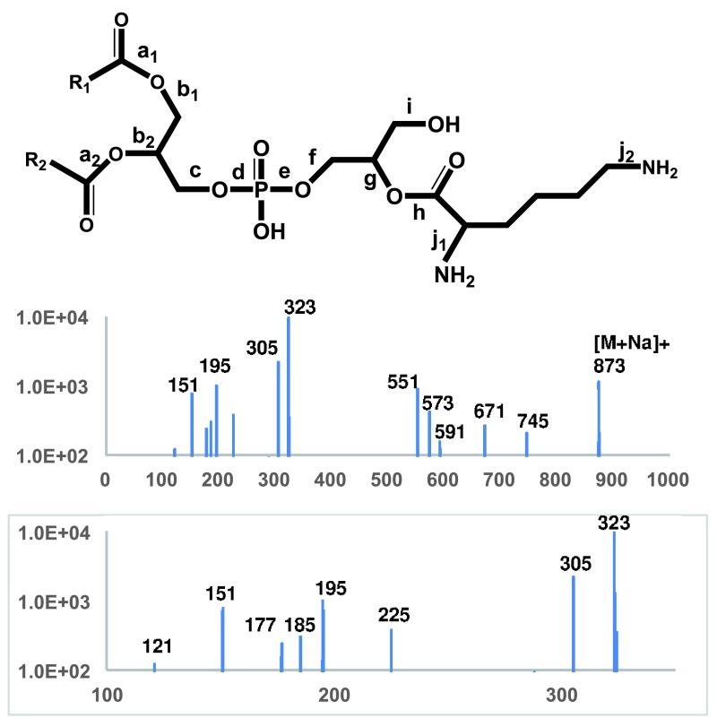 Figure 6. 