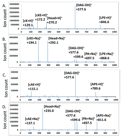 Figure 5. 