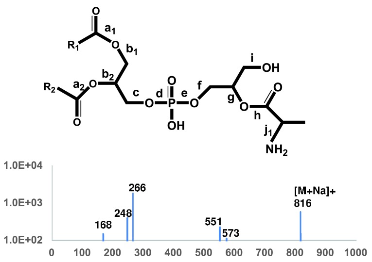 Figure 7. 