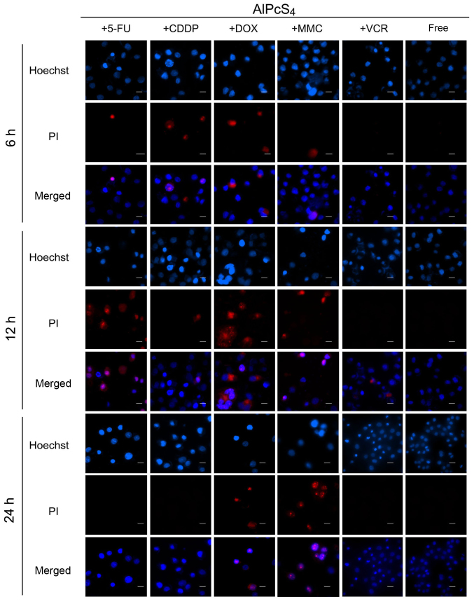 Figure 6.