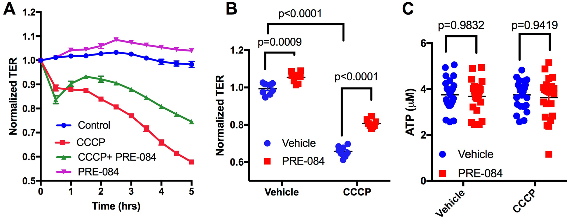 Fig. 8.