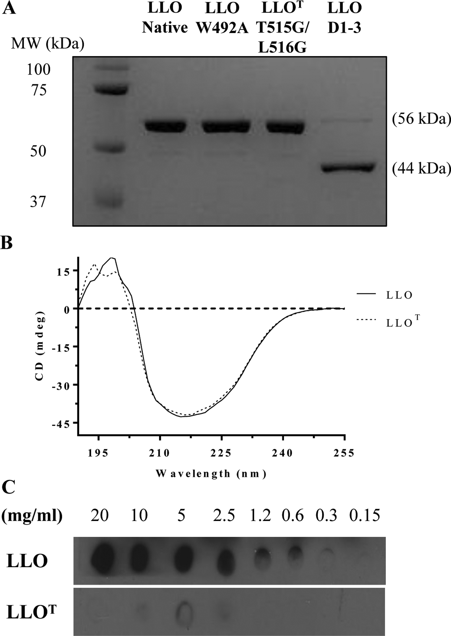 Figure 1.