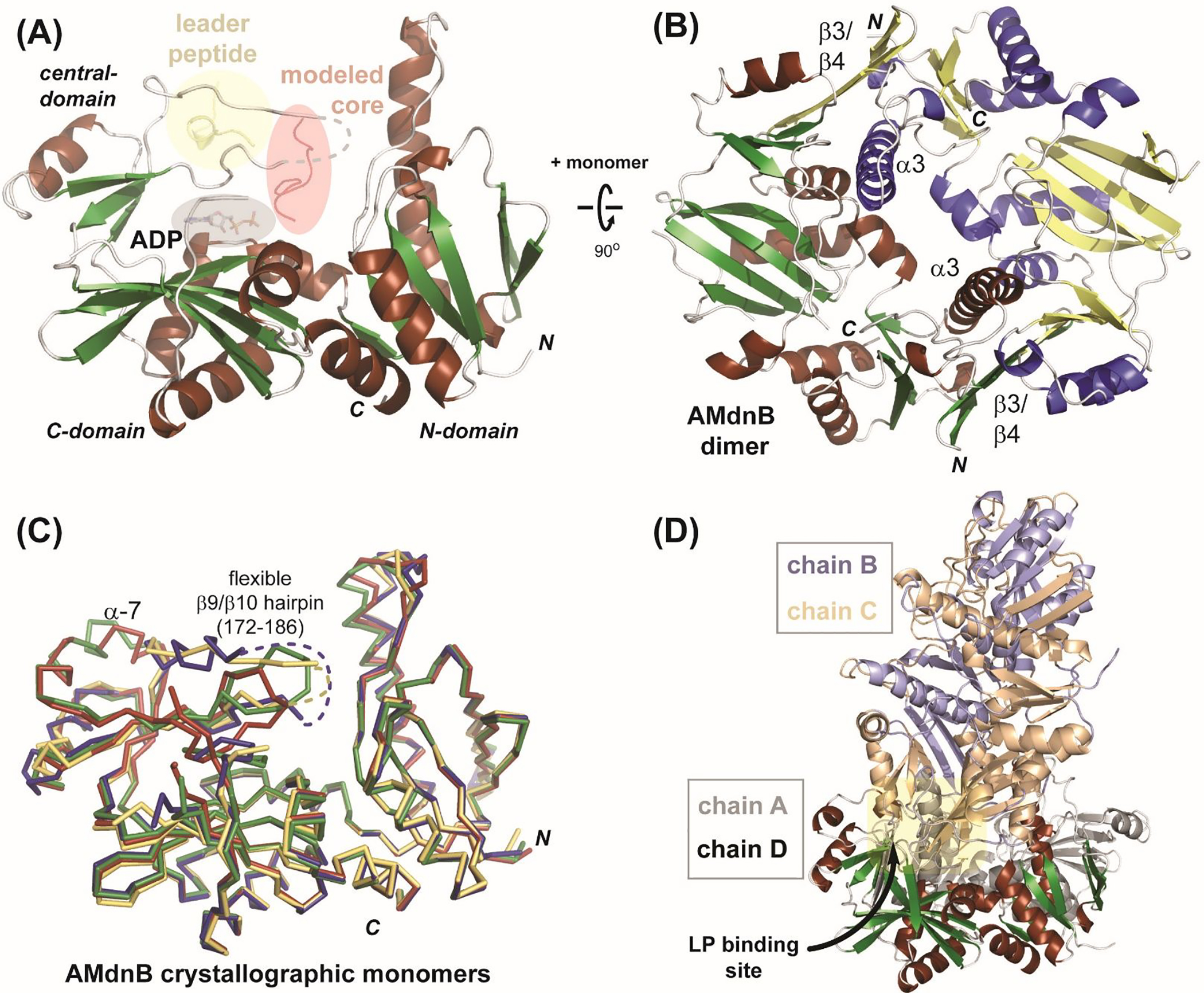 FIGURE 3