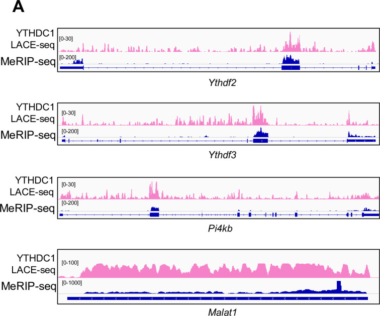 Figure 4—figure supplement 1.