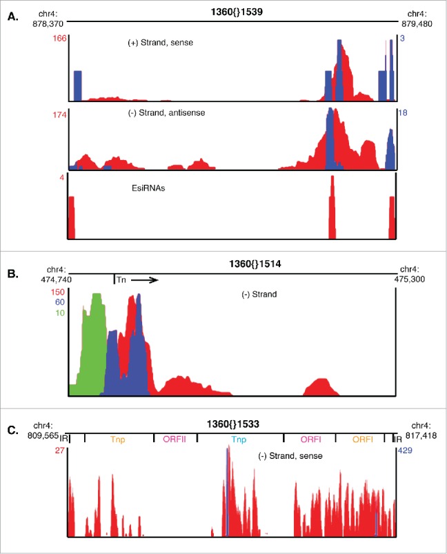 Figure 3.