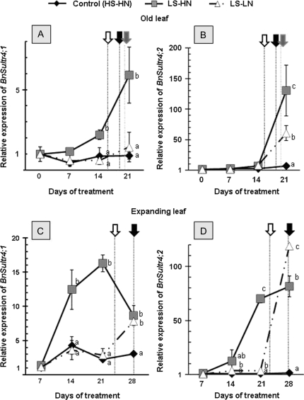 Fig. 8.