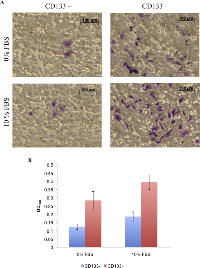 Supplementary Fig. 1