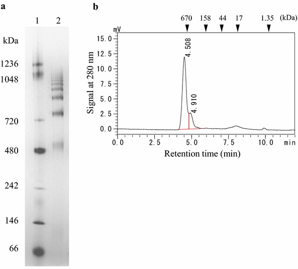 Fig. 5