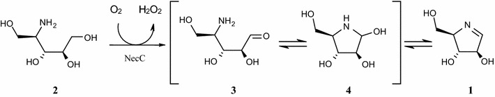 Fig. 8