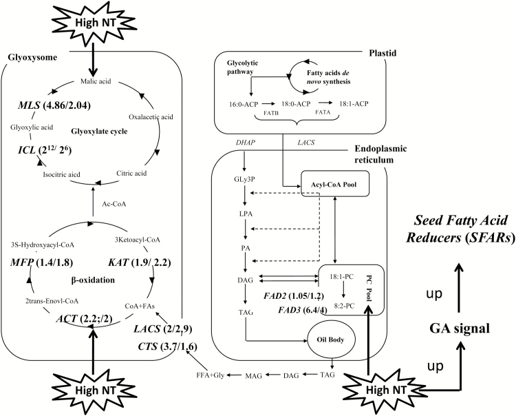 Fig. 7.