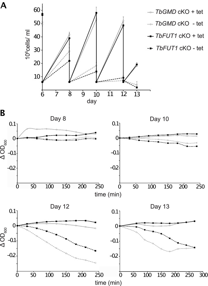 Figure 6—figure supplement 4.