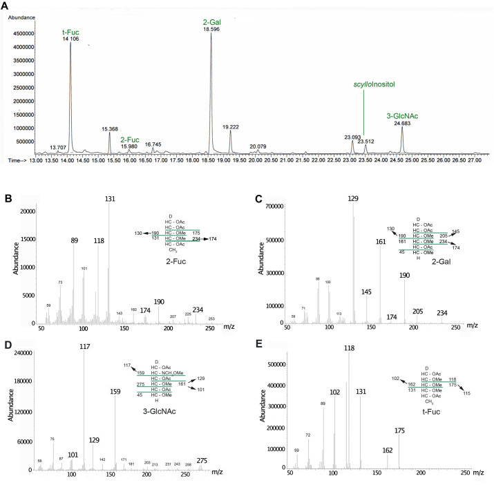 Figure 4—figure supplement 1.