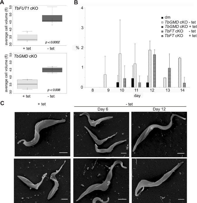 Figure 6—figure supplement 2.