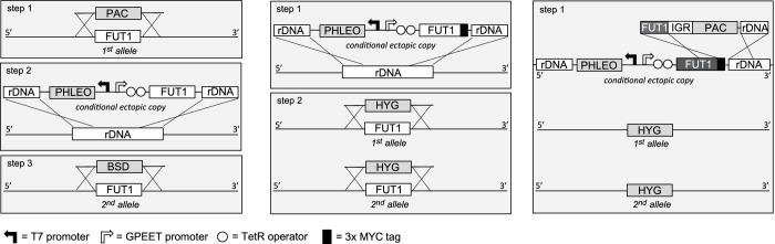 Figure 5.