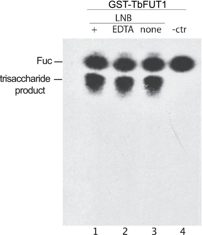 Figure 2—figure supplement 2.