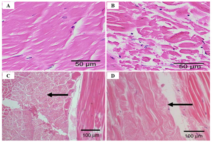 Figure 23