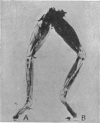358