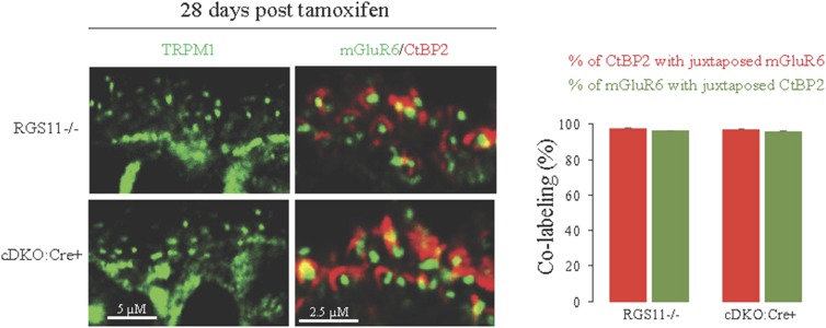 Figure 2—figure supplement 2.