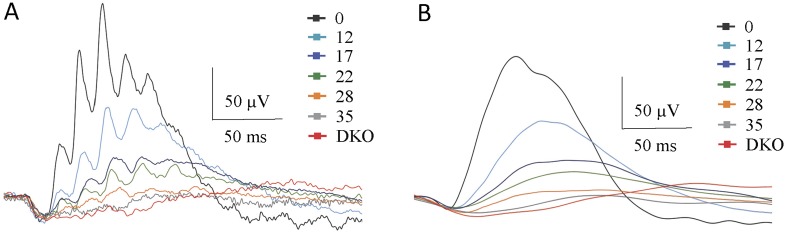 Figure 7—figure supplement 1.